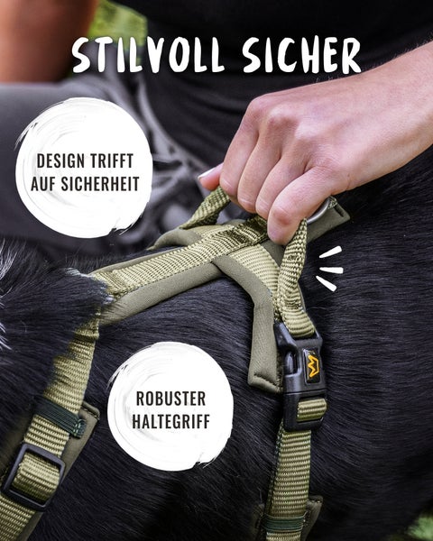 Nahaufnahme eines Hundes mit einem grünen Geschirr mit Haltegriff