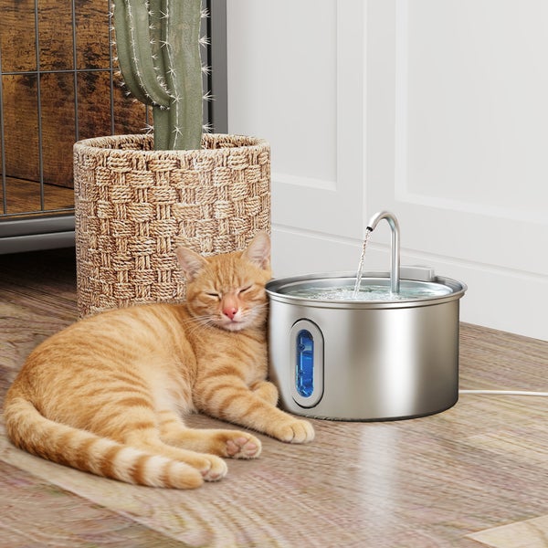 Katze liegt neben einem Trinkbrunnen aus Edelstahl mit Wasserhahn und Wasserstandsanzeige in einem hellen Zimmer.