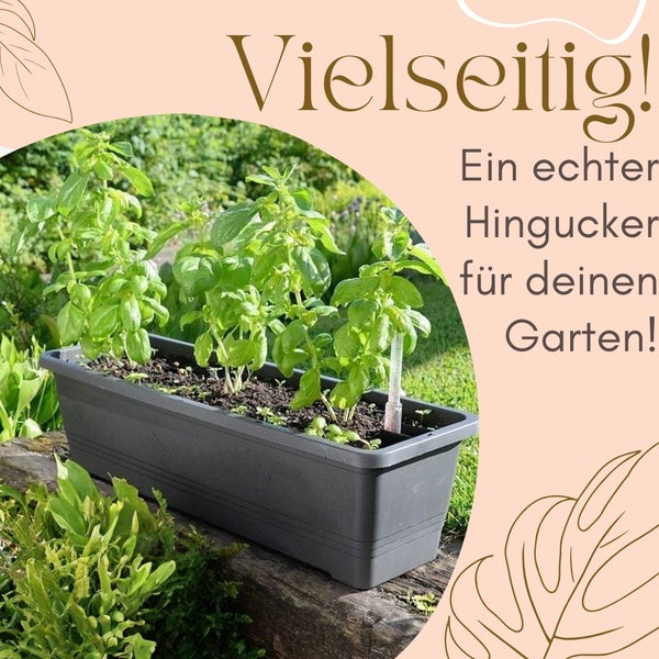 Rechteckiger Pflanzkasten mit Basilikumpflanzen auf einem Holzbalken