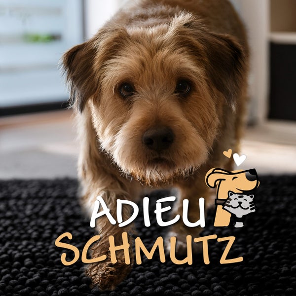 Brauner Hund auf einer dunklen Schmutzfangmatte mit Noppenstruktur und dem Text Adieu Schmutz sowie dem Adieu Schmutz Logo.