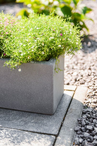 Rechteckiger grauer Pflanzkübel in Steinoptik mit grün bepflanzten Blumen im Außenbereich auf Steinplatten und Kies.