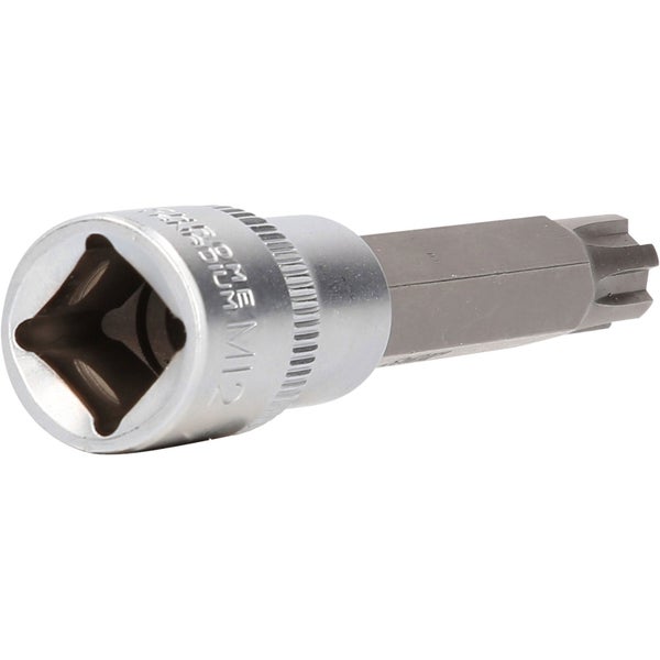 Torx-Bit Steckschlüssel M12
