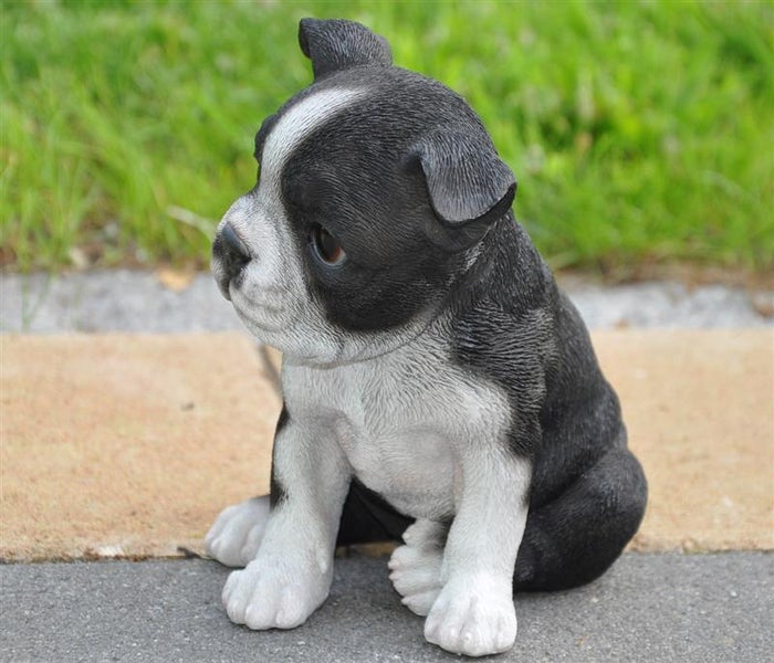 Dekofigur Gartenfigur Boston Terrier