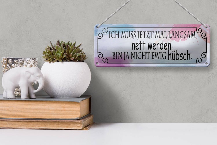 Blechschild Spruch 27x10cm ich muss mal langsam nett werden Dekoration