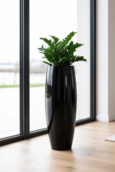 Hoher, glänzender schwarzer Pflanzkübel mit einer grünen Zamioculcas-Pflanze in einem modernen, hellen Raum mit Holzfußboden.