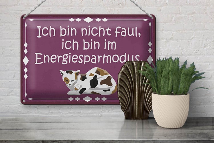 Blechschild Spruch 30x20cm Katze ich bin nicht faul bin im