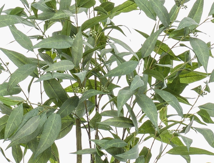 Künstlicher Eukalyptusbaum mit mehreren Stämmen und grünen, spitzen Blättern.