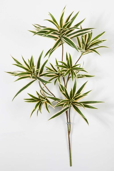 Künstlicher Dracaena reflexa Zweig mit grün-gelben Blättern.