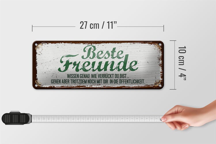 Blechschild Spruch Beste Freunde verrückt wissen genau 27x10cm
