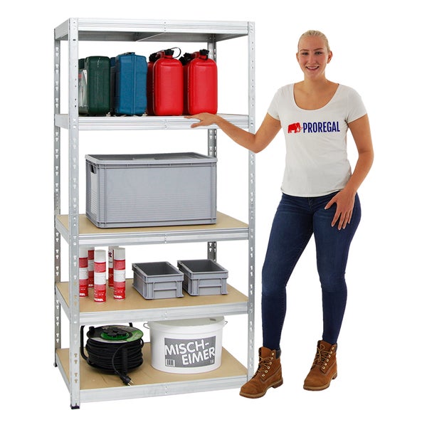 PROREGAL Schwerlastregal Tiger HxBxT 180 x 90 x 60 cm Fachlast 265 kg 5-Ebenen Verzinkt