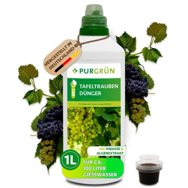 Purgrün Bio Tafeltrauben Dünger in einer 1 Liter Flasche mit Vinasse und Algenextrakt für 100 Liter Gießwasser, hergestellt in Deutschland.