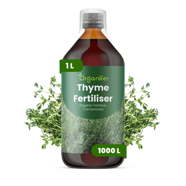 Organifer Thymian-Dünger Konzentrat, 1 Liter Flasche für 1000 Liter, mit Messbecher und frischen Thymianzweigen.