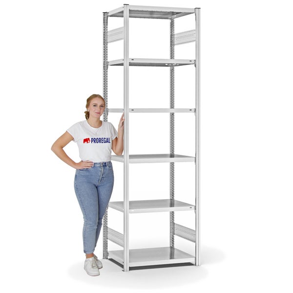 PROREGAL Fachbodenregal Stecksystem T-Profil Light-Duty Grundregal HxBxT 250 x 75 x 50 cm 6 Ebenen Fachlast 140 kg Beidseitig Nutzbar Lichtgrau