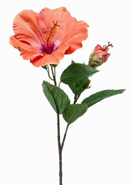 Künstliche Hibiskusblüte in Apricot mit einer offenen Blüte, einer Knospe und grünen Blättern am Stiel.