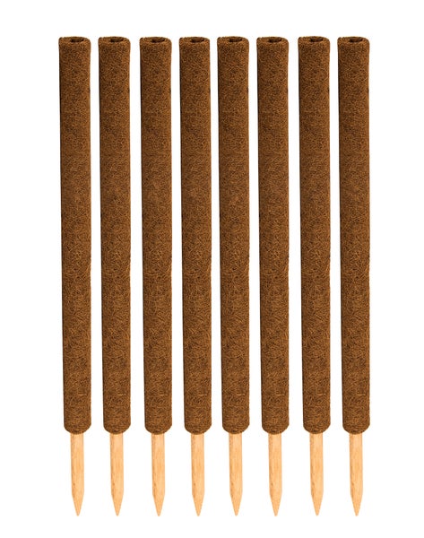 BigDean 8er Set Pflanzstäbe Kokos 80 cm - Monstera Rankhilfe Rankstäbe Stab Moosstäbe Pflanzenstäbe Kokosstäbe für Pflanzen - aus natürlicher Kokosfaser - verlängerbar