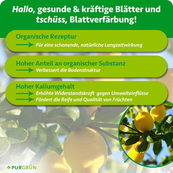 Purgrün Infografik für Pflanzendünger: organische Rezeptur zur Bodenverbesserung und hoher Kaliumgehalt für gesunde Blätter und Fruchtqualität.