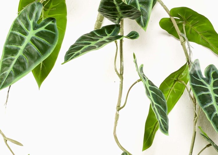 Künstliche Alocasia Hängepflanze mit herzförmigen, dunkelgrünen Blättern und hellen Blattadern an langen Trieben.