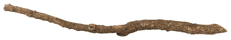 Naturbelassener Holzast mit grober Rinde für Terrarien oder Dekoration.