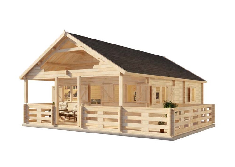 Benjamini Zimmerpflanze im Topf