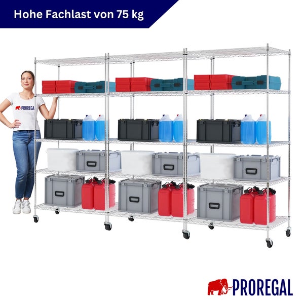 Fahrbares Drahtgitterregal von Proregal mit vier Ebenen und einer Fachlast von 75 Kilogramm, Proregal Logo.