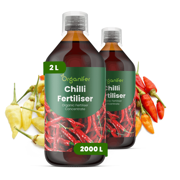 Zwei Flaschen Organifer Chilli Fertiliser, organisches Düngerkonzentrat, 2 Liter, mit Messkappe und Abbildungen von Chilischoten.
