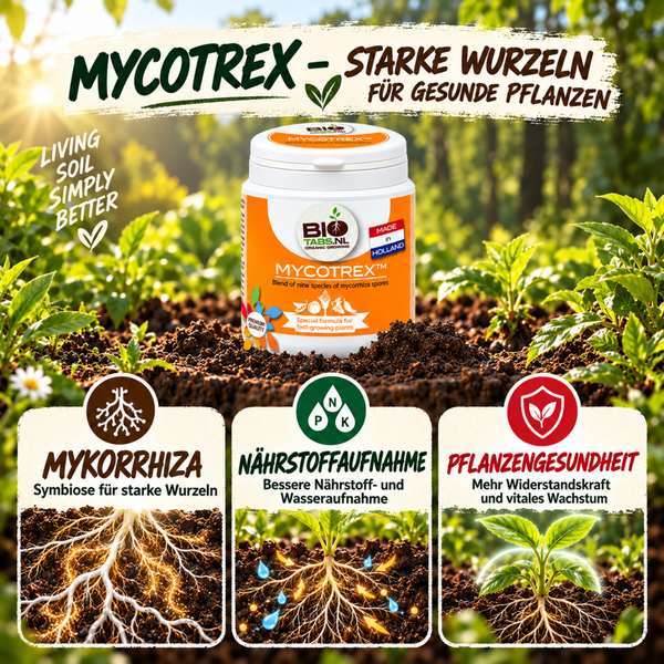 Dose Mycotrex Bodenhilfsstoff von Biotabs zur Stärkung des Wurzelwachstums für gesunde Pflanzen im Garten mit Infografik zu Vorteilen.