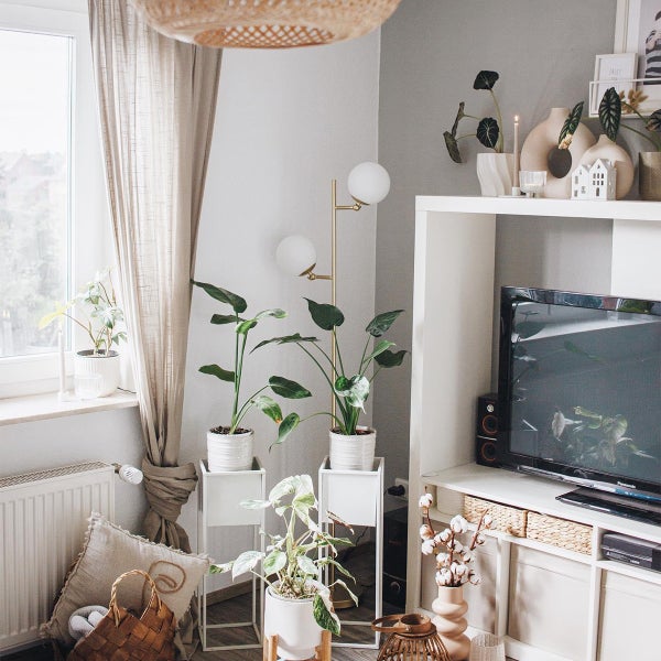 Wohnzimmer mit Pflanzen, Stehlampe und Fernseher auf einem weißen Regal.