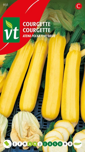 Courgette Atena Polka F1 Hybride Pflanzensamen