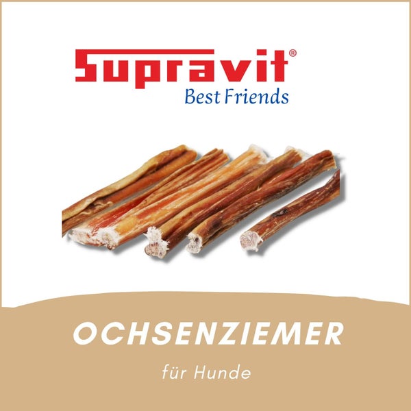 Ochsenziemer für Hunde, Hundesnack