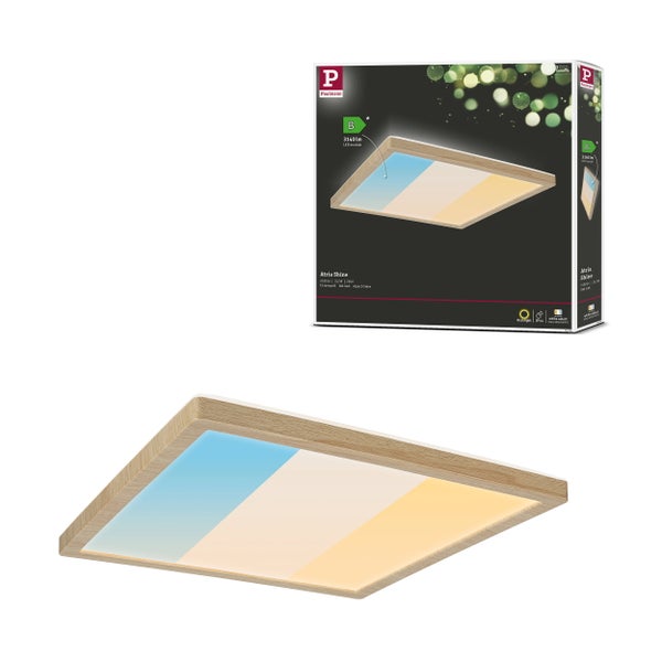 LED Filamentlampe mit dekorativem Drahtgitterkorb und E27 Sockel
