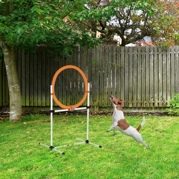 PawHut Hundetrainingsset, Modell 4, PE-Kunststoff, Weiß + Orange