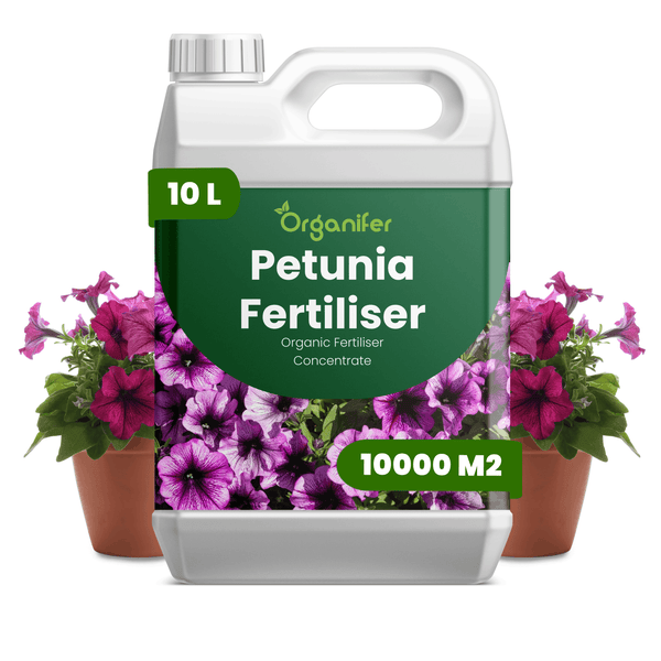 Organifer Petunien-Dünger Konzentrat im 10 Liter Kanister für 10000 Quadratmeter, organischer Flüssigdünger.
