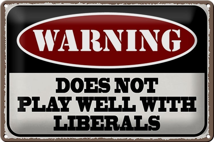 Blechschild Spruch 30x20cm Warning does not play well with