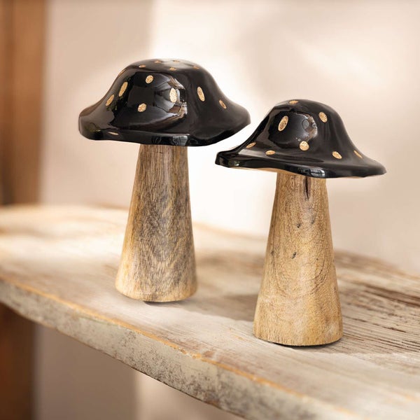 Zwei dekorative Pilze mit glänzenden Köpfen und Holzfüßen