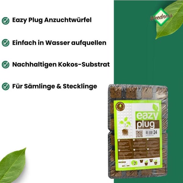Eazy Plug Anzuchtwürfel 12er– Stecklings- und Gewächshausset, Organisches Aussaatmedium, Überwässerungssicher, Perfekt für Keimung & Jungpflanzen