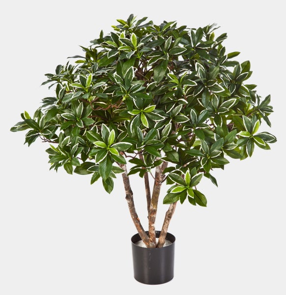 Künstliche Pflanze im schwarzen Topf mit weißrandigen grünen Blättern.