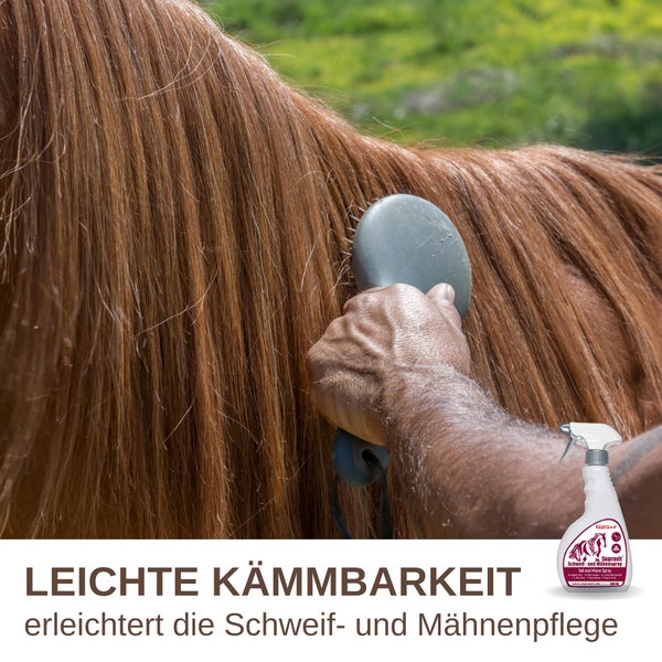 Hand bürstet eine Pferdemähne mit Supravit Schweif- und Mähnespray für leichte Kämmbarkeit.