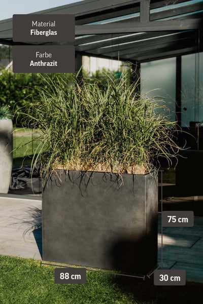 Pflanzkasten aus Fiberglas, Anthrazit, Maße 88 mal 30 mal 75 Zentimeter, mit Ziergras auf einer Terrasse.