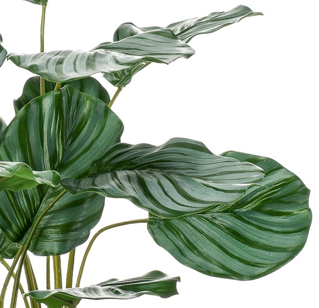 Nahaufnahme einer künstlichen Calathea Orbifolia mit gestreiften Blättern aus Kunststoff für die Innendekoration.