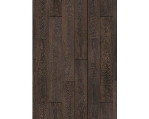 Dekoratives Schild mit dem Spruch: Ich bin froh, dass mein Fisch nicht sprechen kann.