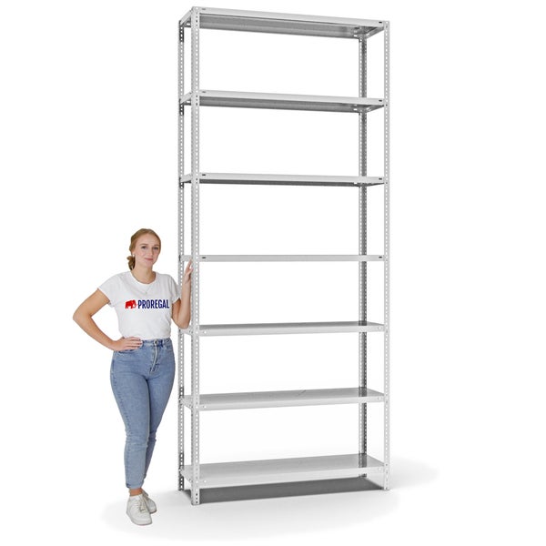PROREGAL Fachbodenregal Schraubsystem Heavy-Duty Grundregal HxBxT 300 x 130 x 40 cm 7 Ebenen Fachlast 350 kg Beidseitig Nutzbar Lichtgrau