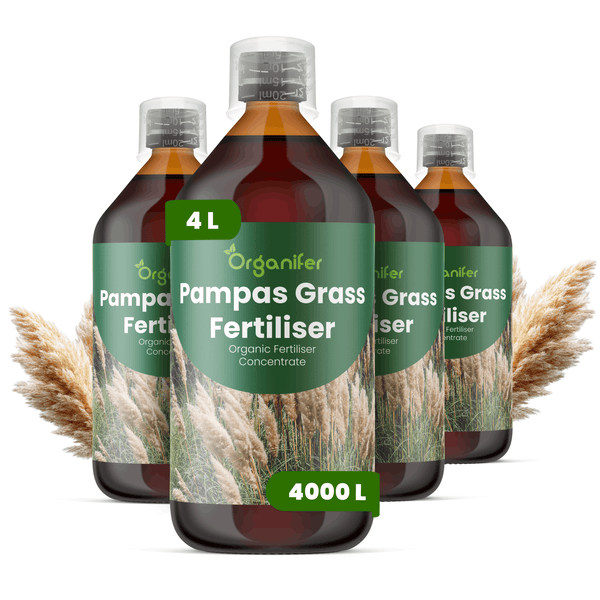 Organifer Pampasgras-Dünger, Bio-Dünger-Konzentrat, Set aus 4 Flaschen zu je 1 Liter, ausreichend für 4000 Liter.