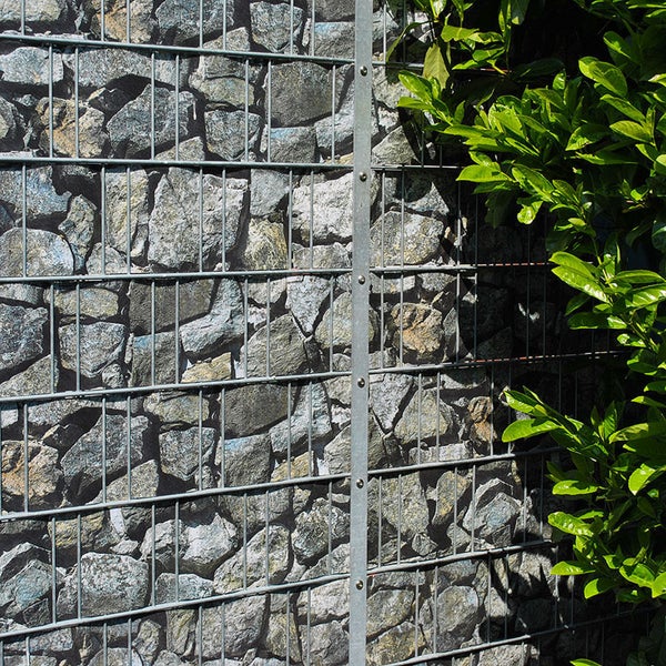 Gabionenzaun mit Steinfüllung und Bepflanzung
