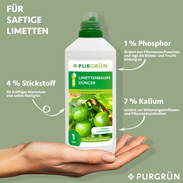 Purgrün Bio-Limettenbaum-Dünger 1 Liter
