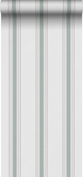 Sanders und Sanders Tapete Streifen Grün und Grau - 53 cm x 10.05 m - 640668