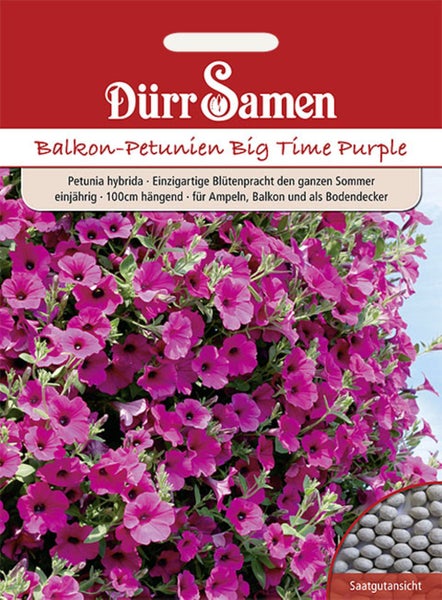 Samentüte für Balkon-Petunien Big Time Purple mit Dürr Samen Logo, violetten Blüten, 100 Zentimeter hängend, inklusive Saatgutansicht.
