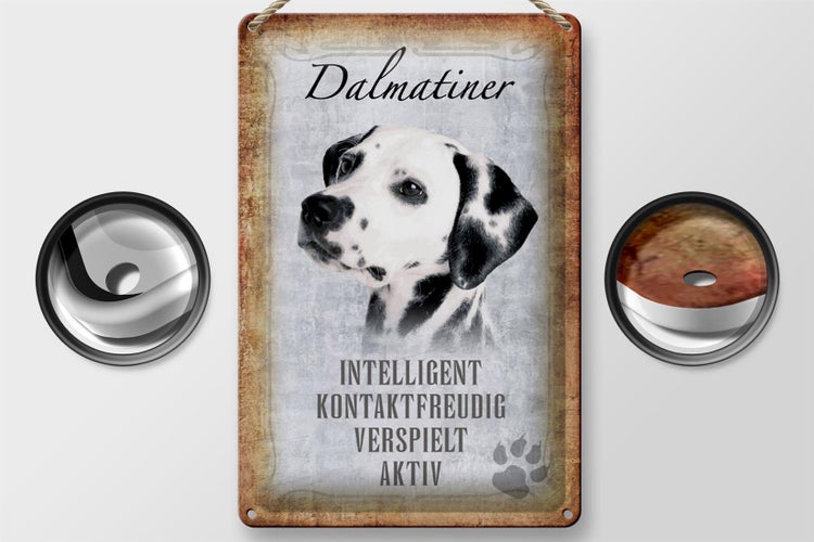 Blechschild Spruch 20x30cm Dalmatiner Hund Schild