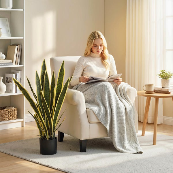 Helles Wohnzimmer mit Bogenhanf im schwarzen Topf, einer Frau im Sessel mit Decke beim Lesen und einem Beistelltisch aus Holz.