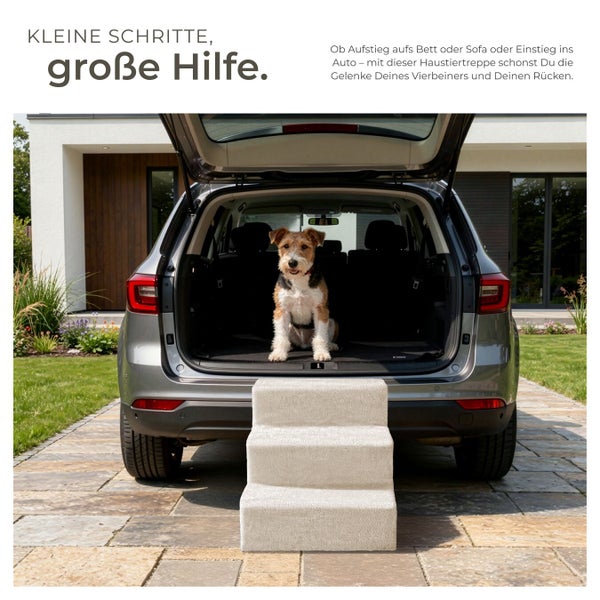 Hund sitzt im Kofferraum eines Autos vor einer Haustiertreppe