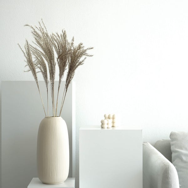 Federgras I Miscanthus-  1 Stiel